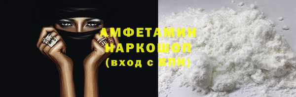 индика Алексин