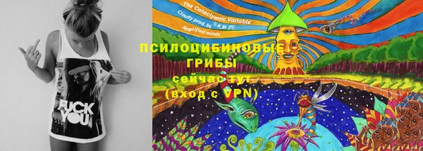 бутират Алексеевка